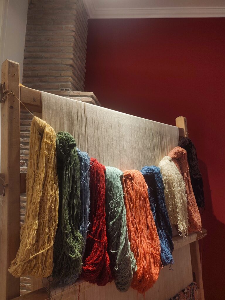 IMG_20230824_112600 (Büyük)