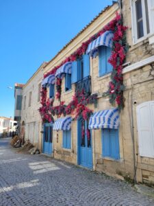 Polonya’dan İzmir’e: Renkli Bir Kültür Yolculuğu