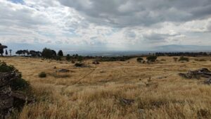 Vincent’in İzmir Macerasının Son Günleri