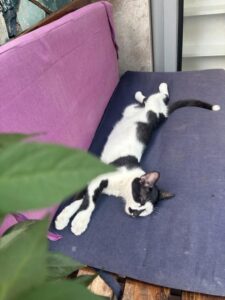 Paris’ten İzmir’e : Maïlys Türkiye’de